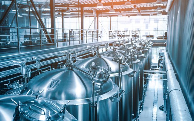 Stainless fermentation tanks in a brewery